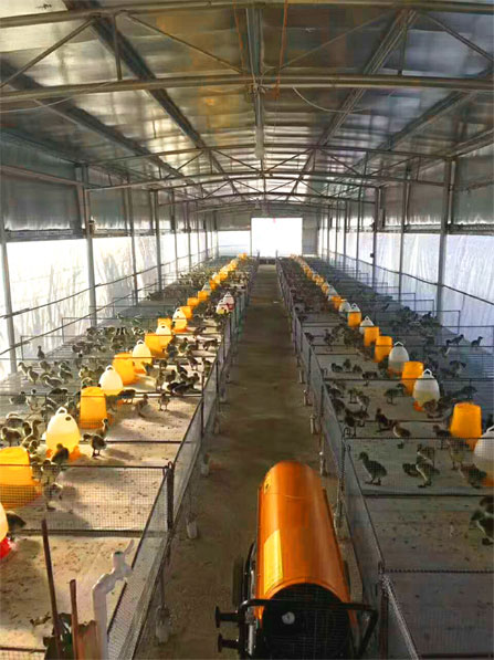 養(yǎng)殖暖風(fēng)機(jī)用來給小雞取暖非常的好